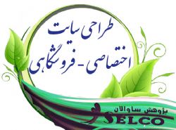 طراحی سایت اختصاصی و فروشگاهی